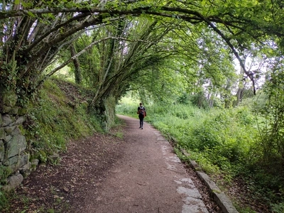 Beautiful walk on the Camino