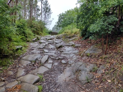 the worst stretch of the camino